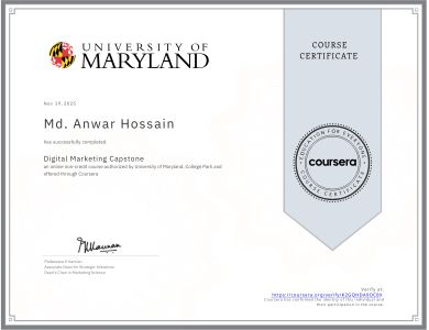 alt="Digital Marketing Capstone"