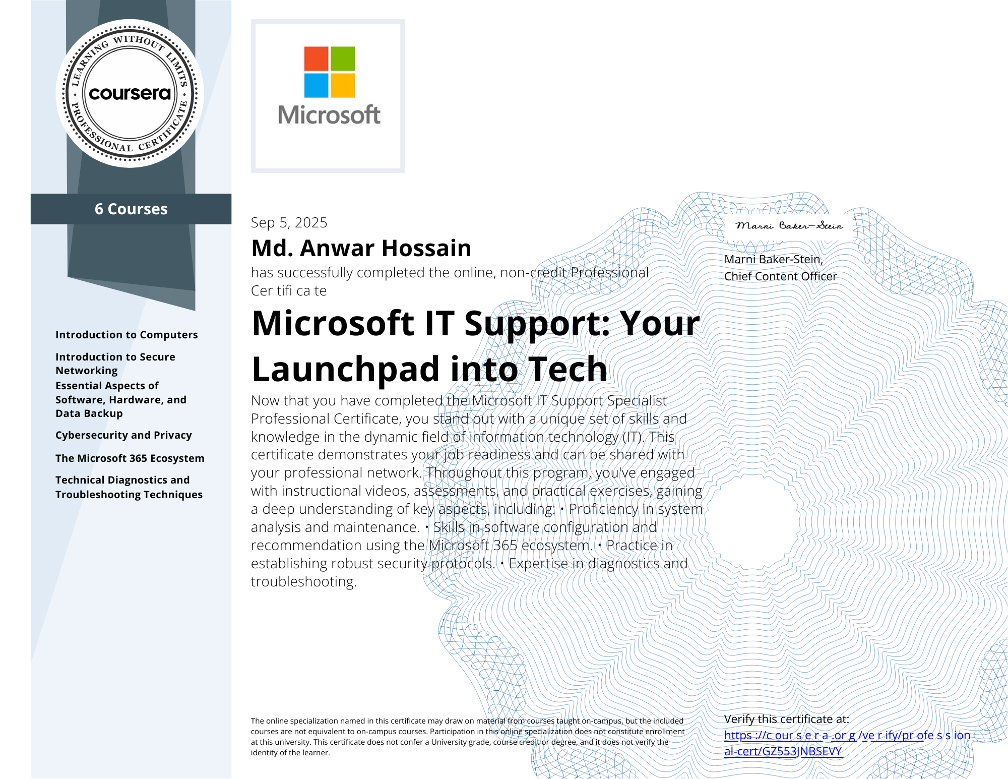 Microsoft IT Support