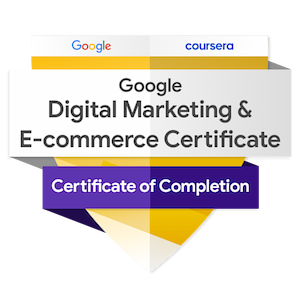 alt="google-digital-marketing-and-e-commerce-professiona"