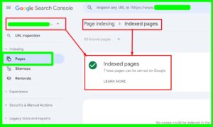 alt="Page-Indexing-1"
