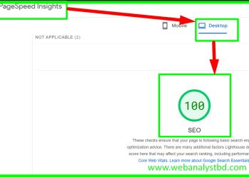 alt="SEO-CHECK-100-Score-2."