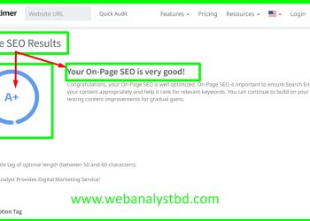 SEO CHECK 100 Score A+