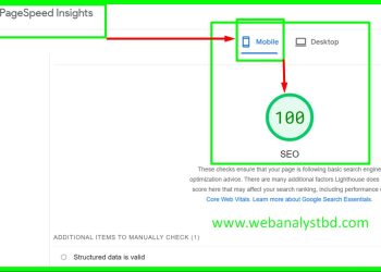 alt="SEO-CHECK-100-Score."
