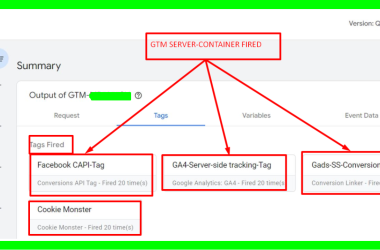 alt="gtm-serverecom."
